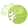 LAPA Boutique - Home